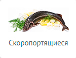 Международная перевозка скоропортящихся грузов скоропортящиеся грузы, перевозка скоропортящихся грузов